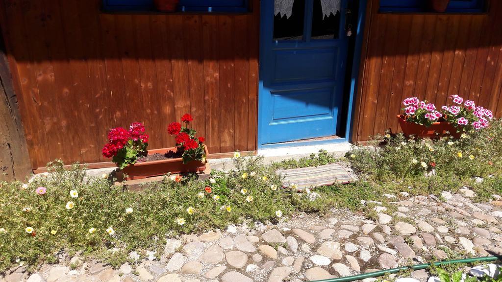 Pension Cartref Saschiz Bagian luar foto